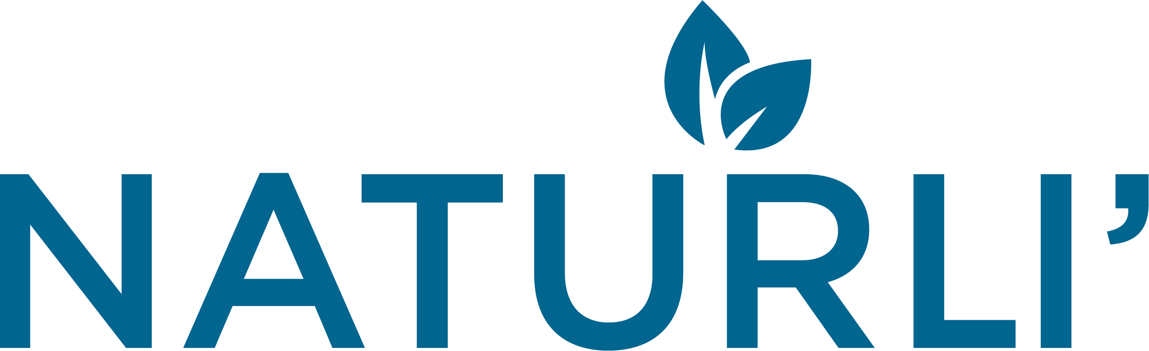Naturli_logo_typo_blue